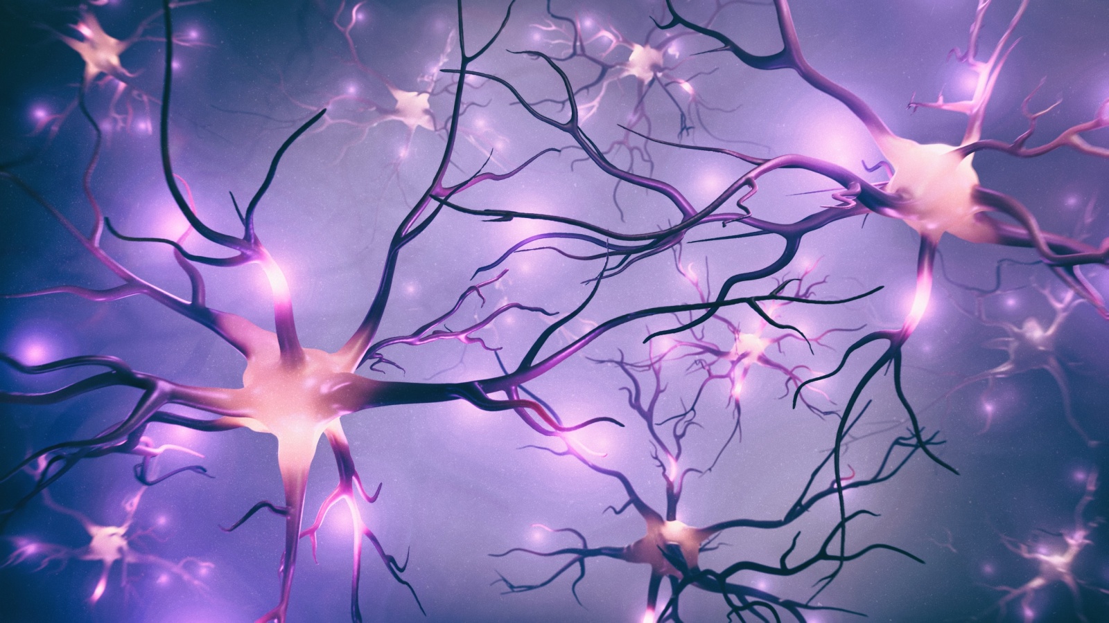 Visualization of neurons and neural network with signals - 3d rendered image of nerve cells. Cellular neurons with electrical impulses. Glowing synapse. Visualization of dendrites of neurons.